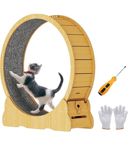 【お問い合わせ中】最終値下げ！Ciaobot（チャオボット）キャットホイール 猫 ランニングホイール ランニングマシン 大型　ナチュラルウッド  ホイールランナー ペット ホイール 自走式 回し車 ルームランナー 爪とぎ 運動不足 ダイエット Ciaobot（チャオボット）キャットホイール 猫 ランニングホイール